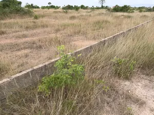 Title Land With Dwarf Wall - Appolonia