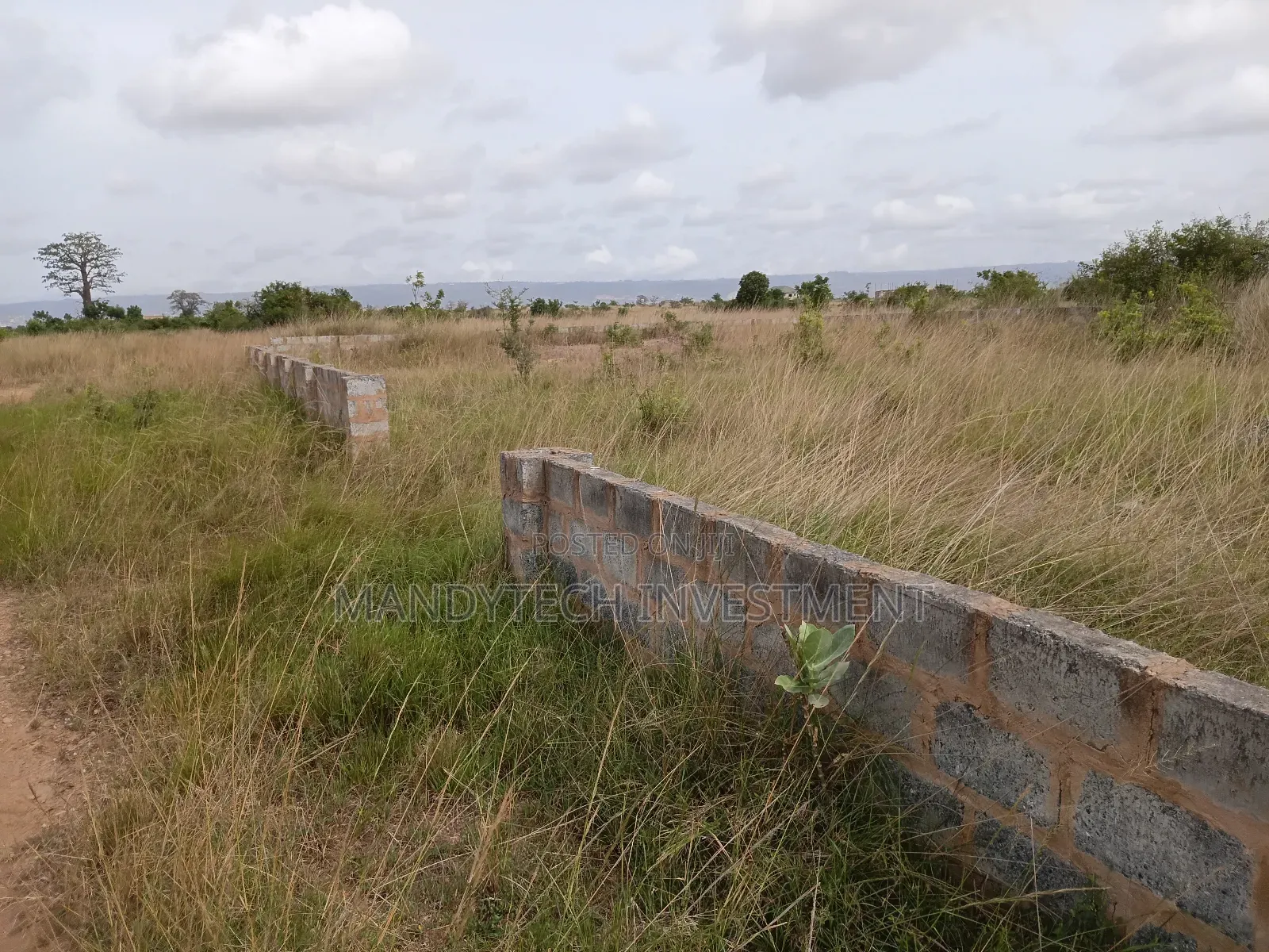 Title Land With Dwarf Wall - Appolonia