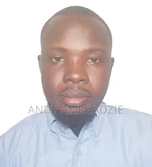Sales Executive