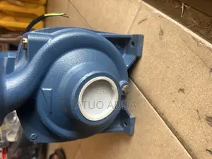Lucky Pro Water Pump