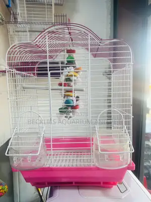 Pink Honey Bird Cage With Toys
