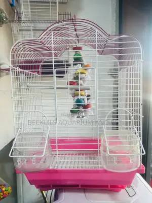 Pink Honey Bird Cage With Toys