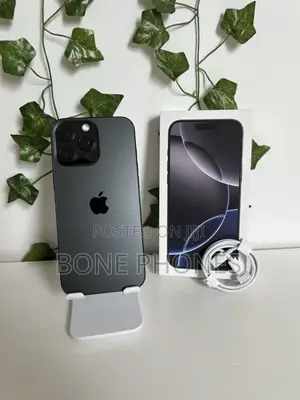 Apple iPhone 16 Pro Max 256 GB Gray