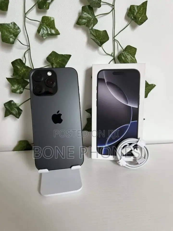 Apple iPhone 16 Pro Max 256 GB Gray
