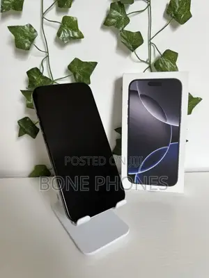 Apple iPhone 16 Pro Max 256 GB Gray