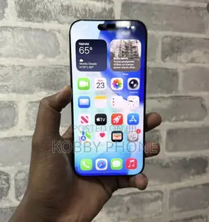 Apple iPhone 15 Pro Max 256 GB Silver