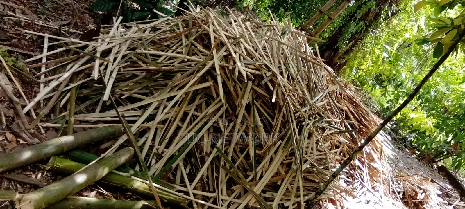 Bamboo Pegs Available for Sale