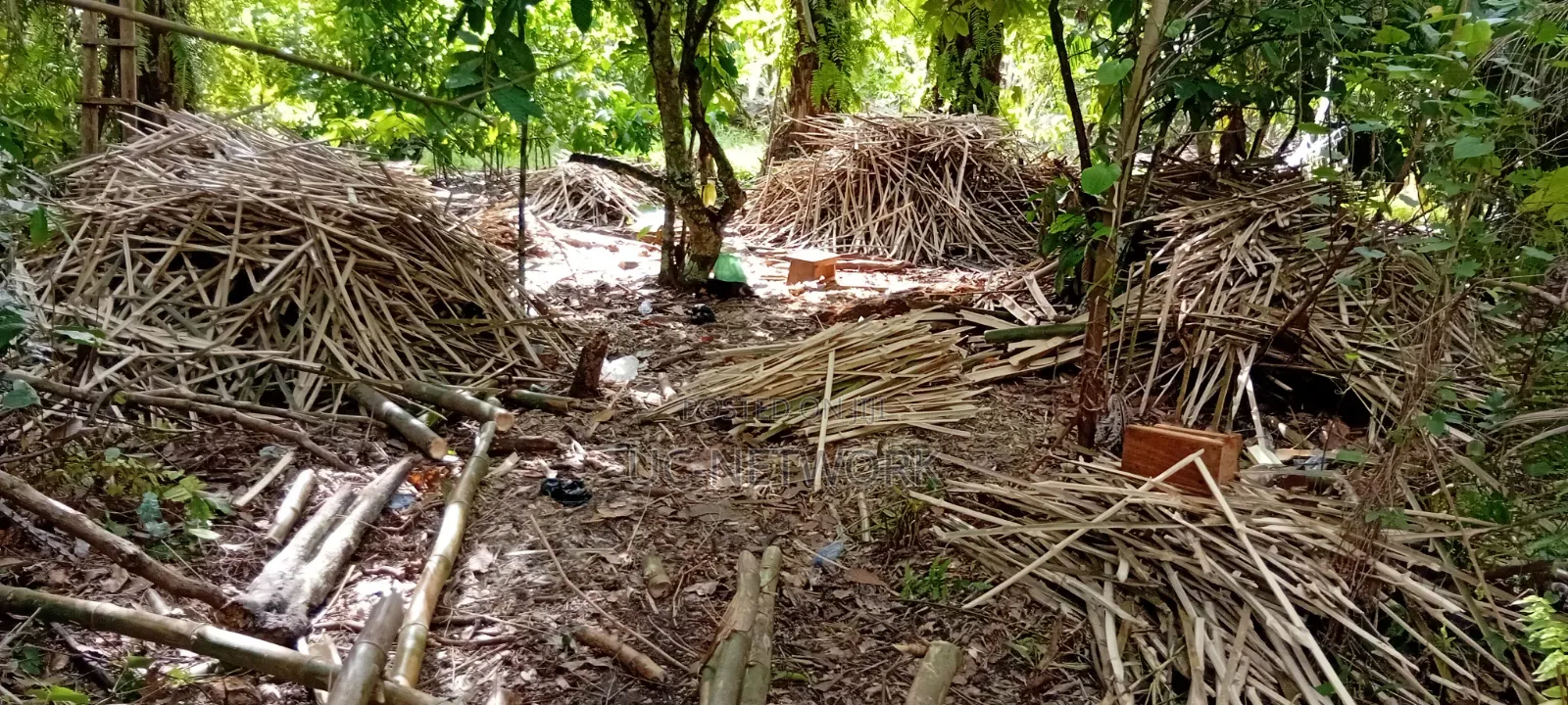 Bamboo Pegs Available for Sale