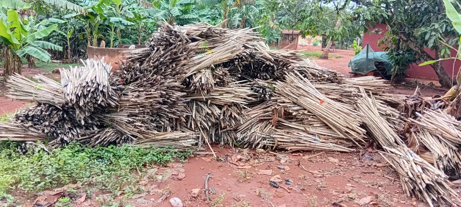 Bamboo Pegs for Plantation