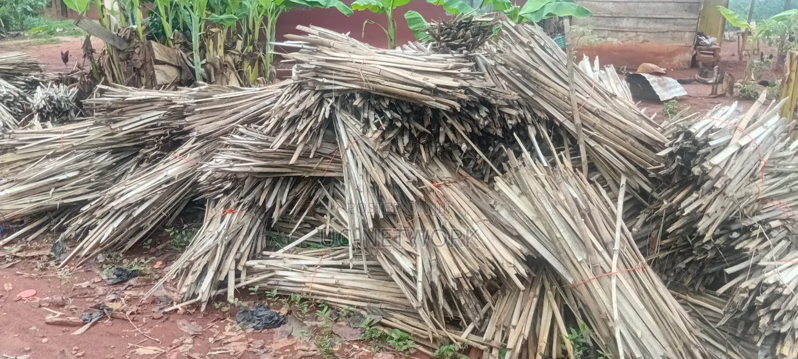 Bamboo Pegs for Plantation