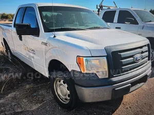 Ford F-150 2010 White