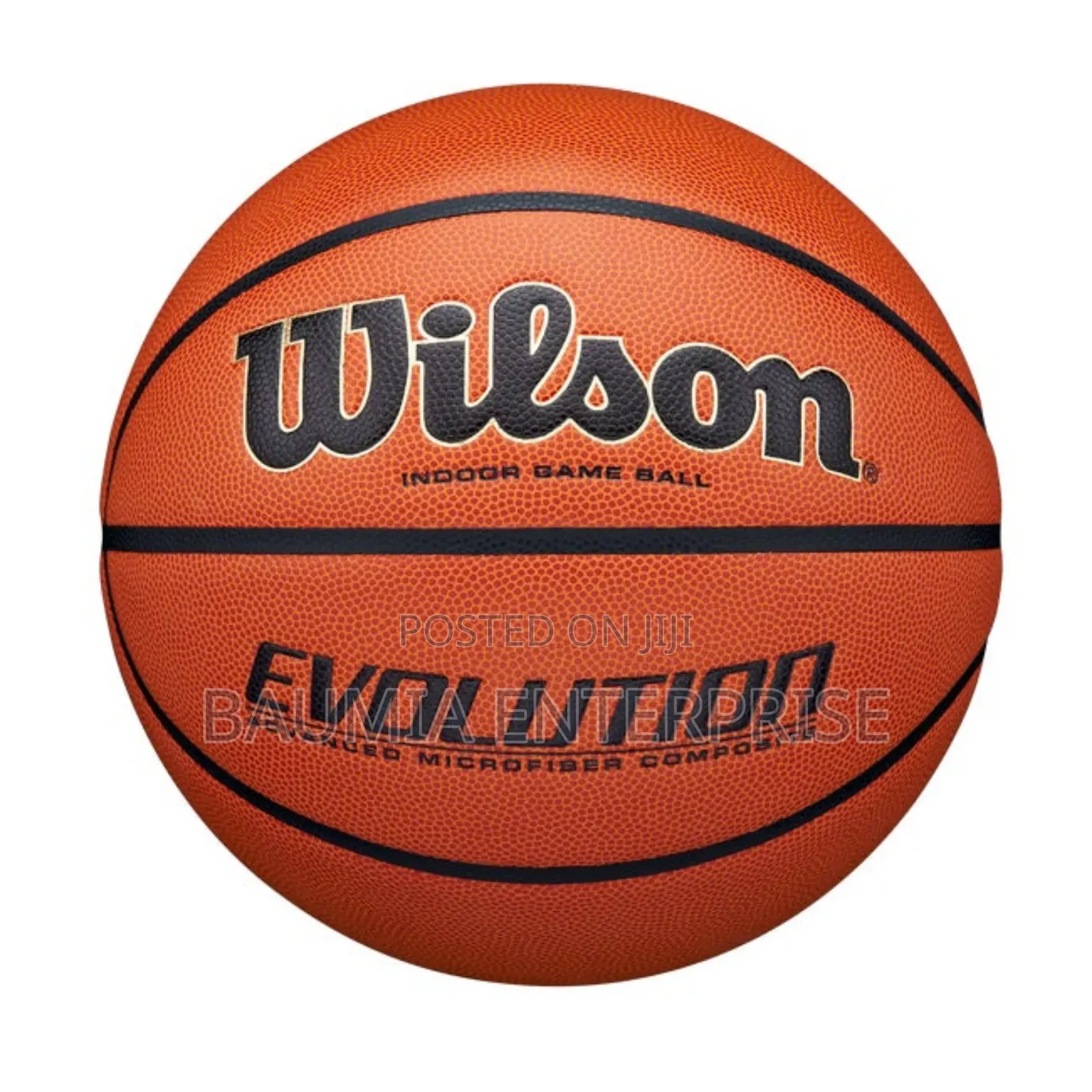 Wilson Basketball