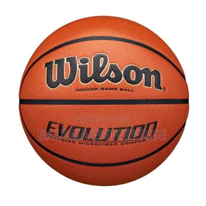 Wilson Basketball
