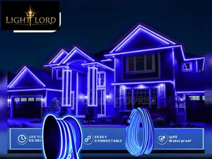 Neon Led Light 100meters Blue Color