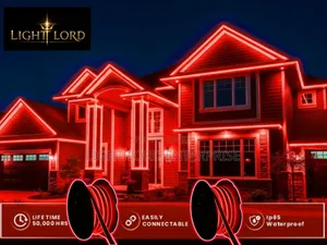 Red Color Neon 100meters