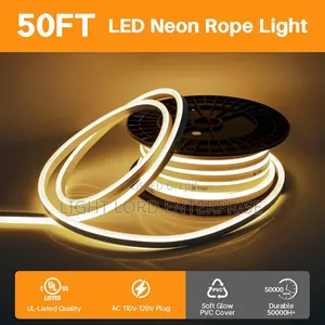 Advanced Warm Color Neon 100meters