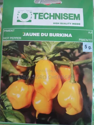Yellow Habanero Pepper (Jaune Du Burkina)1gram Seeds