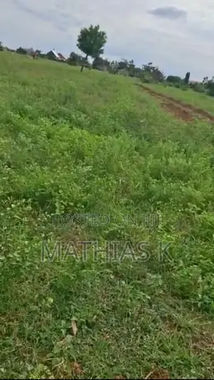 2 Plots of Land for Sale in Yongduuni, Not Far From Malshegu