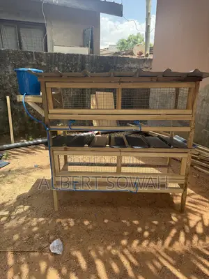 4 Rooms Modern Rabbit Cages