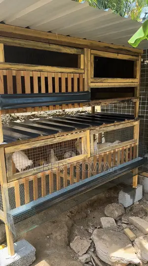 Backyard Chicken Coop