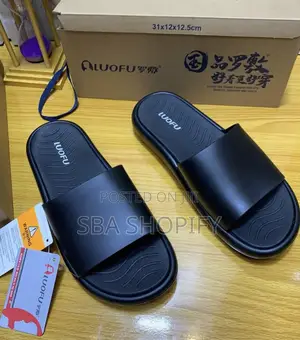 Luofu Slides