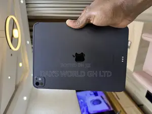 Apple iPad Pro 11 (2024) 256 GB Gray