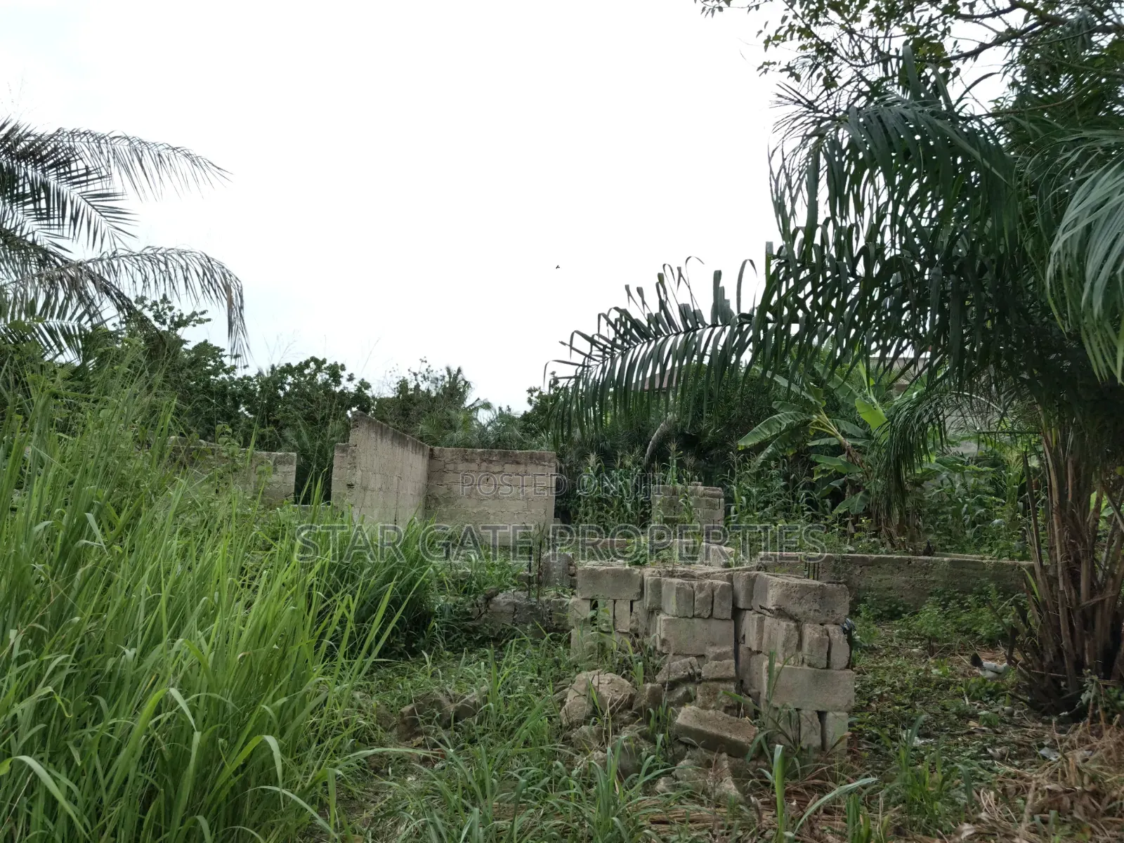 Plot for Sale at Ayeduase / Twumduase ( Near Knust)