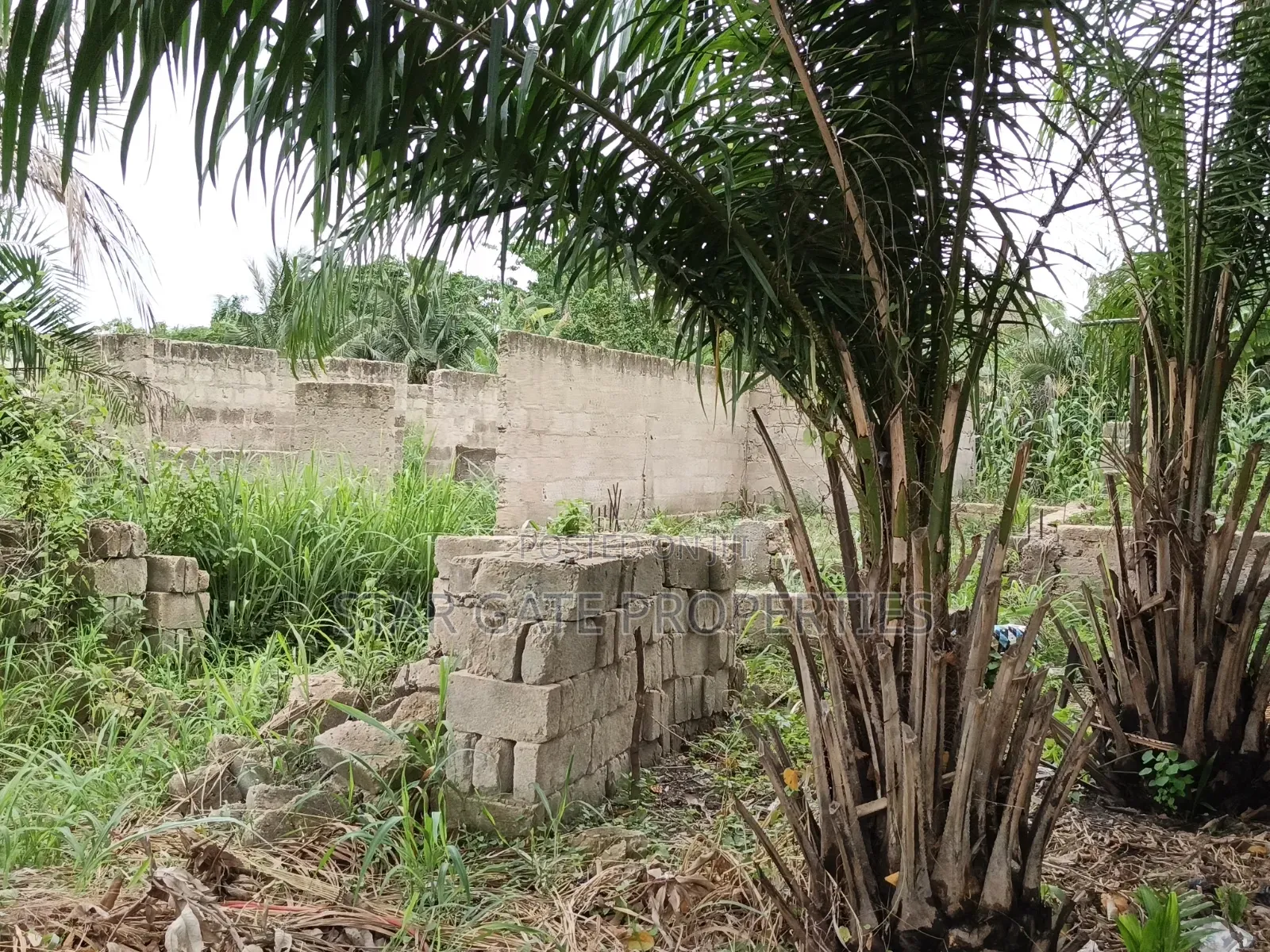 Plot for Sale at Ayeduase / Twumduase ( Near Knust)