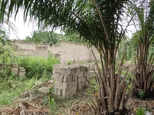Plot for Sale at Ayeduase / Twumduase ( Near Knust)