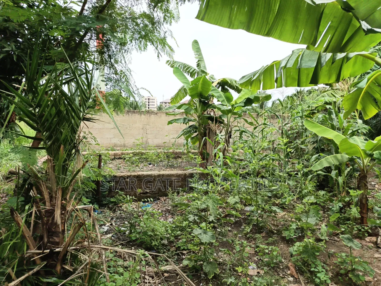 Plot for Sale at Ayeduase / Twumduase ( Near Knust)