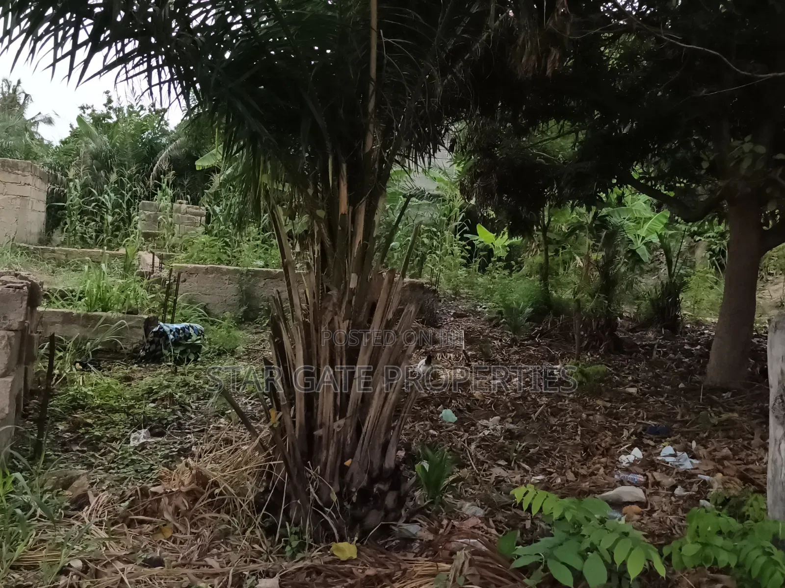Plot for Sale at Ayeduase / Twumduase ( Near Knust)