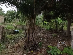 Plot for Sale at Ayeduase / Twumduase ( Near Knust)