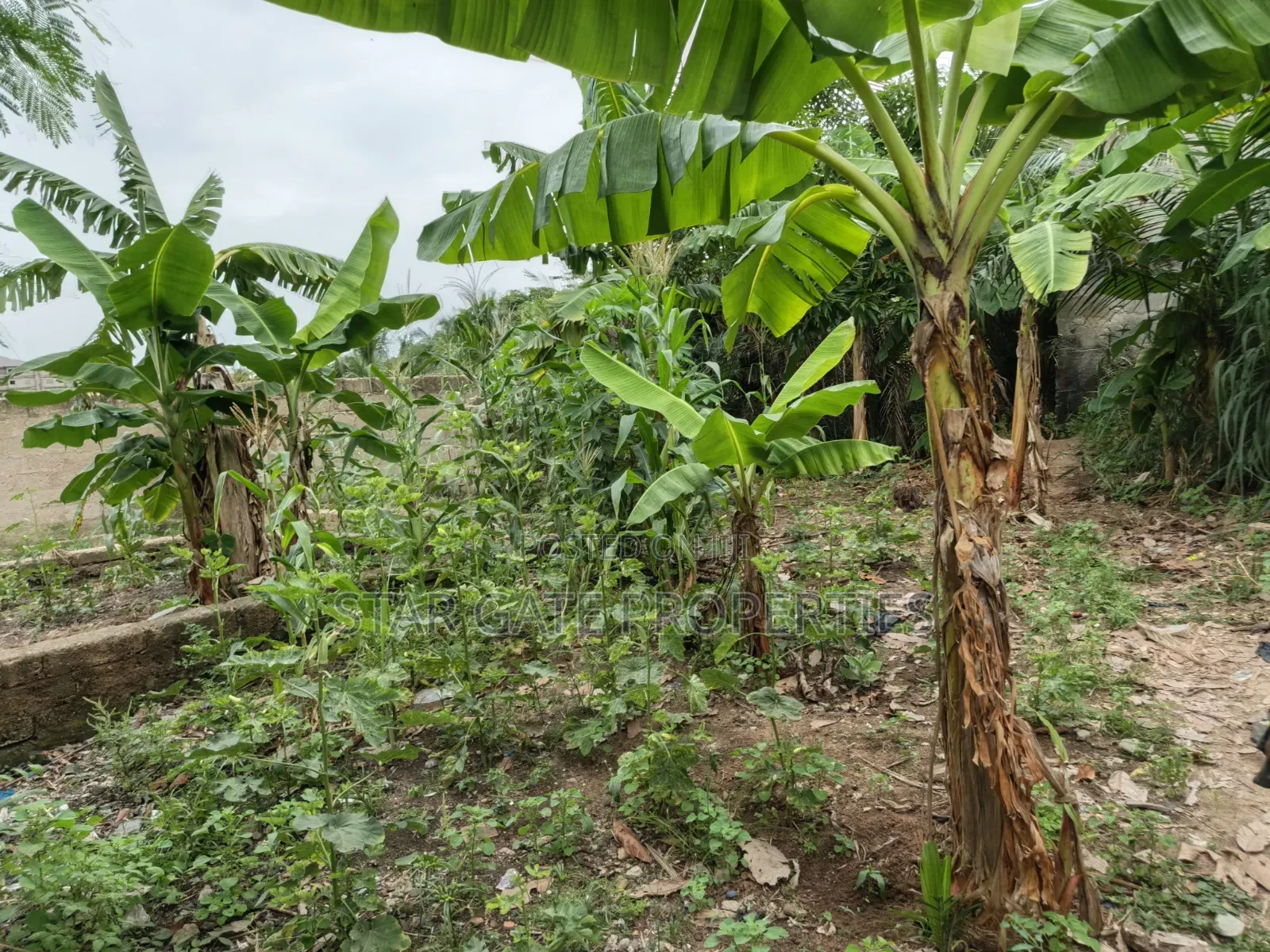 Plot for Sale at Ayeduase / Twumduase ( Near Knust)