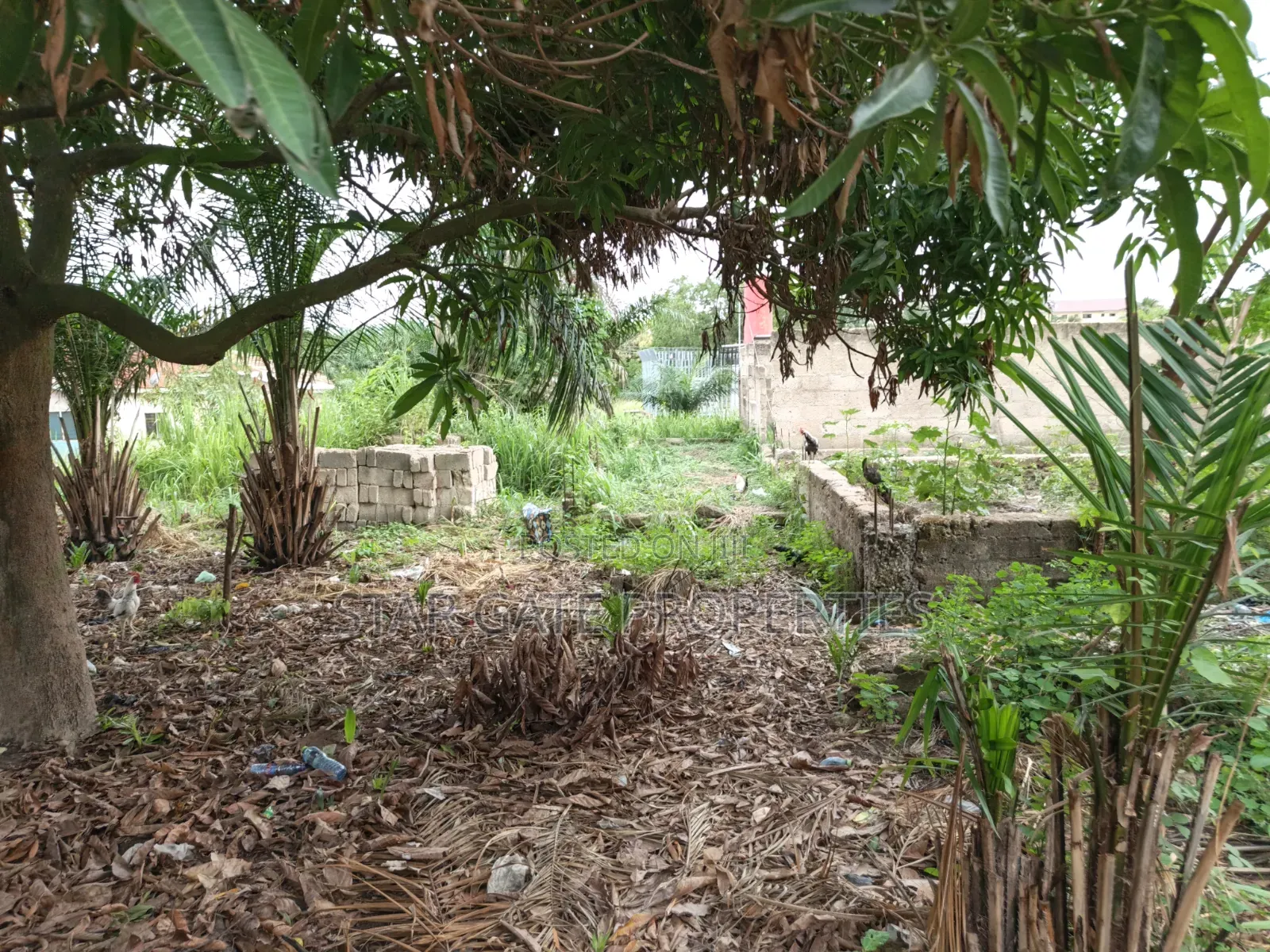 Hostel Plot/ Land for Sale at Knust.
