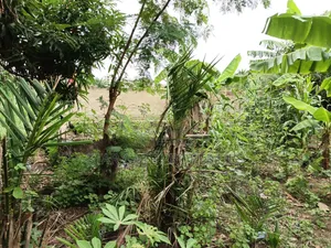 Hostel Plot/ Land for Sale at Knust.