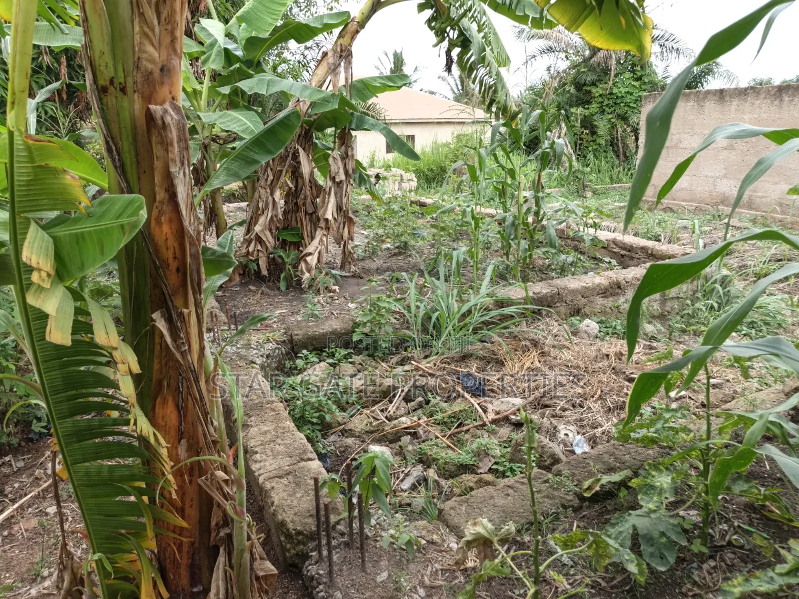 Hostel Plot/ Land for Sale at Knust.