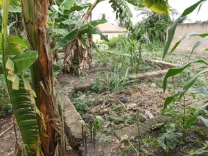 Hostel Plot/ Land for Sale at Knust.