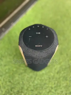 Sony SRS Ra3000 Wireless/Bluetooth Smart Speaker (Alexa)