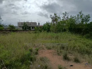 2 Plots Of Land For Sale At Kotoku Soldier Land
