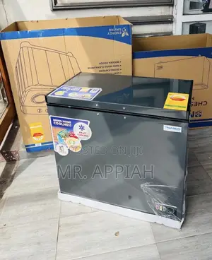 Unique Nasco Nas420fl Single Door Chest Freezer(316l)Dark Gray 