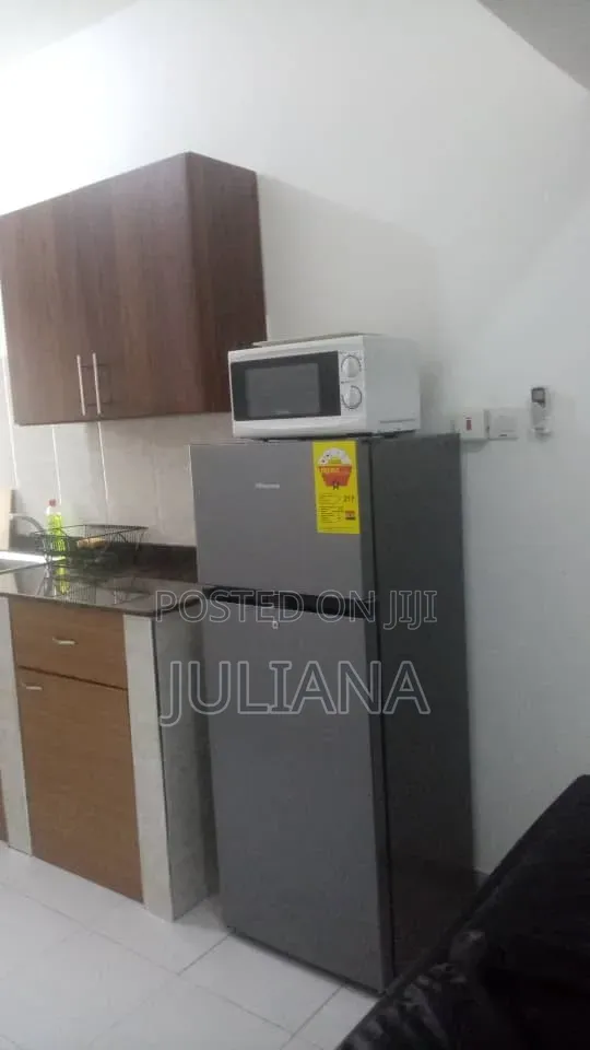 Furnished 1bdrm Apartment in Spintex for rent