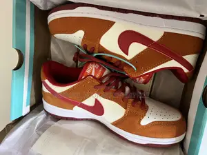 Nike Sb Low Dunk Pro