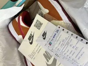 Nike Sb Low Dunk Pro