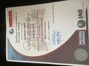 Seeking Employment as Drivers Mate or Driver Assistant