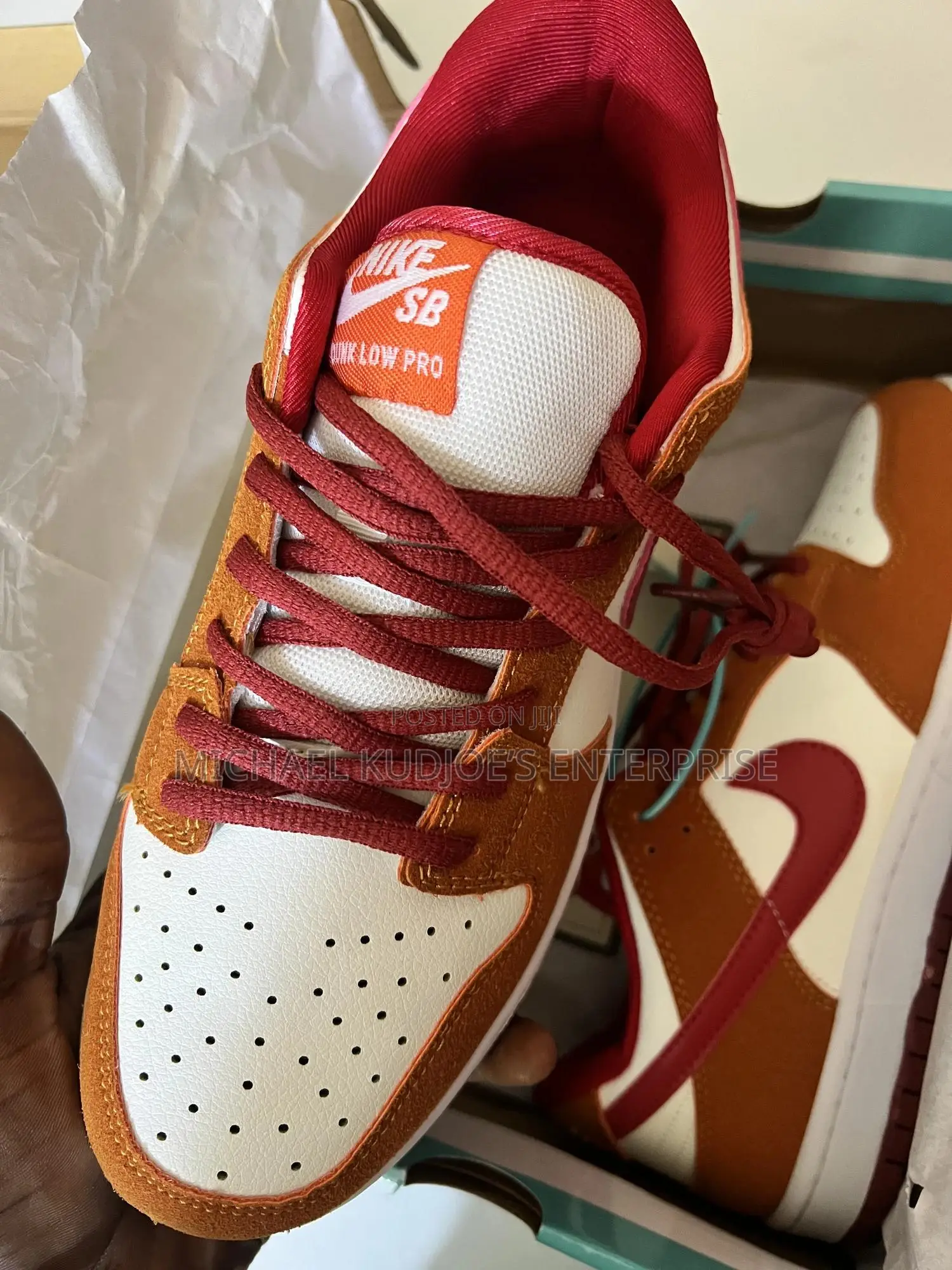 Nike Sb Low Dunk Pro