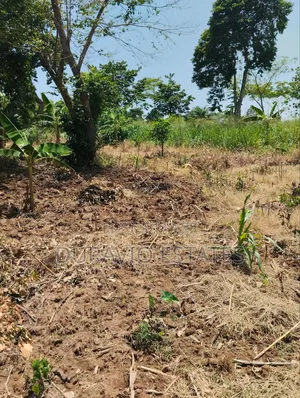 Full Plot in Atwima Foase