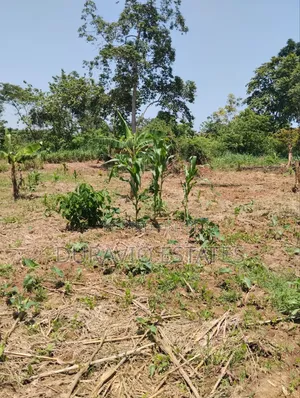 Full Plot in Atwima Foase