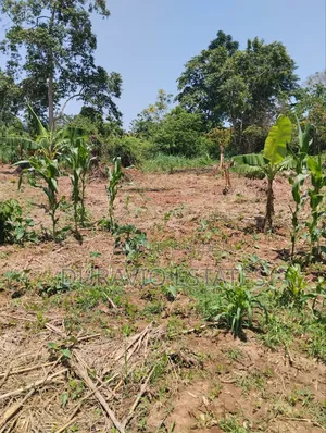 Full Plot in Atwima Foase