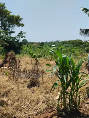 Full Plot in Atwima Foase