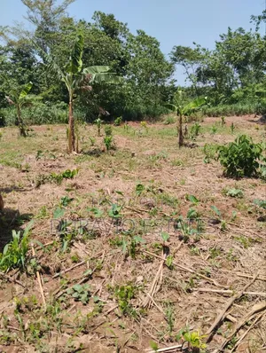 Full Plot in Atwima Foase